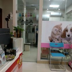 洪星1998寵物店詳細信息 電話、地址、價格、營業時間及圖片