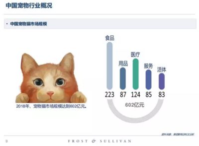 高收入、高學歷的單身人群，養(yǎng)寵前請先算清這筆賬